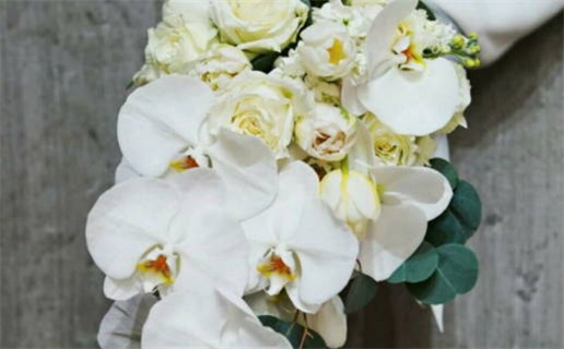 2026年03月28日结婚黄道吉日 适不适合办婚礼 2026年03月28日结婚黄道吉日 适不适合办婚礼