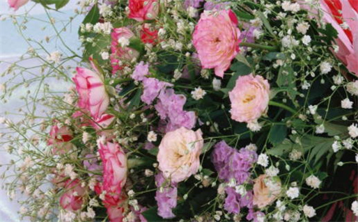 2025年农历腊月十二结婚吉日查询 今日办婚礼好吗 2025年农历腊月十二结婚吉日查询 今日办婚礼好吗