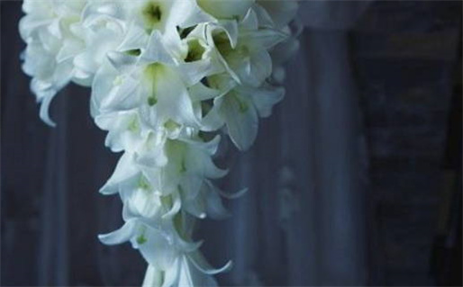 2025年12月31日是不是结婚吉日 宜办婚礼吉日查询