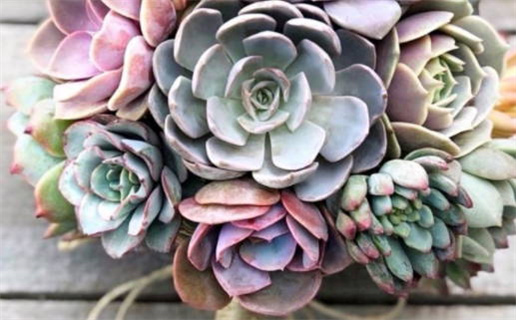 2025年农历八月初四领证好吗 今日领证结婚好吗 2025年农历八月初四领证好吗 今日领证结婚好吗