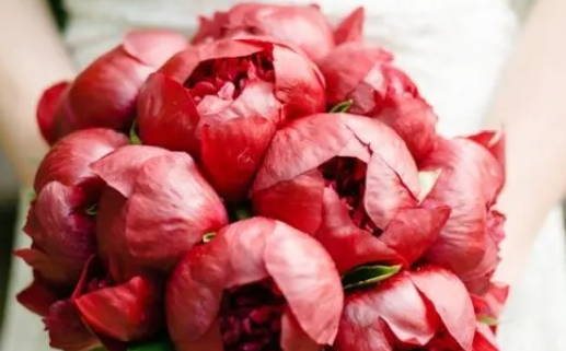 2025年农历正月初九是领证好日子吗 登记结婚吉利吗 2025年农历正月初九是领证好日子吗 登记结婚吉利吗