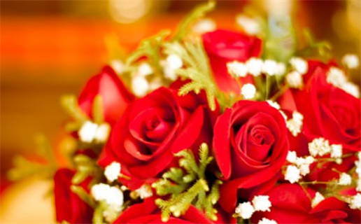 2025年11月24日领证好吗 今日登记结婚好吗 2025年11月24日领证好吗 今日登记结婚好吗