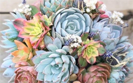 2025年01月12日是不是领证吉日 今日登记领证好吗 2025年01月12日是不是领证吉日 今日登记领证好吗