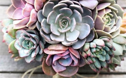 2025年08月11日是领证好日子吗 登记领证吉利吗 2025年08月11日是领证好日子吗 登记领证吉利吗