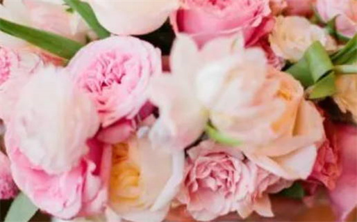 2024年农历九月廿一是不是领证吉日 是登记结婚好日子吗