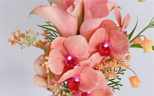 2026年农历腊月十七领证日子如何 是登记领证好日子吗 2026年农历腊月十七领证日子如何 是登记领证好日子吗