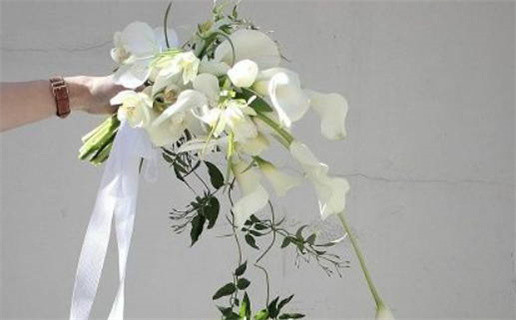 2025年农历正月初五领证好不好 今日登记领证好不好 2025年农历正月初五领证好不好 今日登记领证好不好