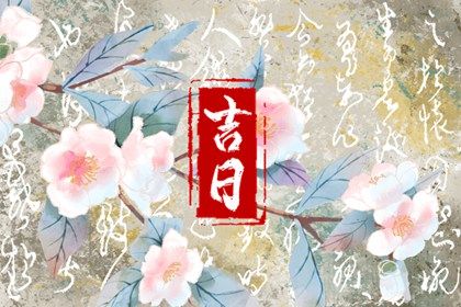 2026年01月19日提车日子如何 提新车吉利吗 2026年01月19日提车日子如何 提新车吉利吗