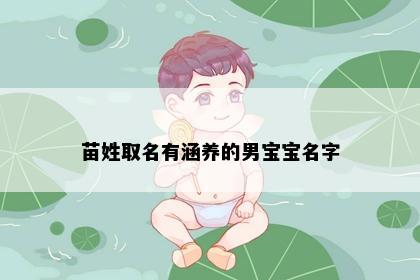 苗姓取名有涵养的男宝宝名字