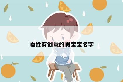 夏姓有创意的男宝宝名字