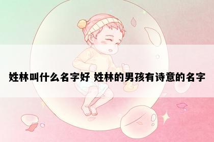姓林叫什么名字好 姓林的男孩有诗意的名字