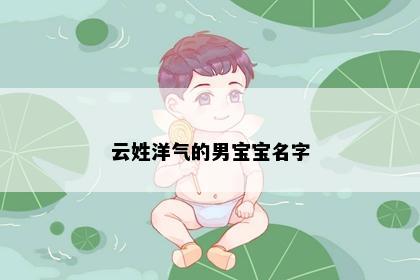 云姓洋气的男宝宝名字