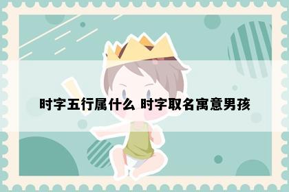 时字五行属什么 时字取名寓意男孩
