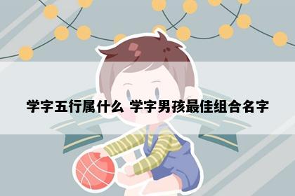 学字五行属什么 学字男孩最佳组合名字