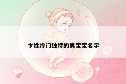 卞姓冷门独特的男宝宝名字