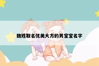魏姓取名优美大方的男宝宝名字