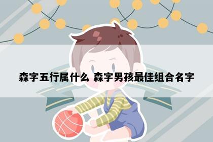 森字五行属什么 森字男孩最佳组合名字
