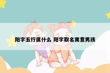 阳字五行属什么 阳字取名寓意男孩