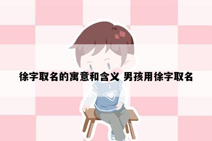徐字取名的寓意和含义 男孩用徐字取名
