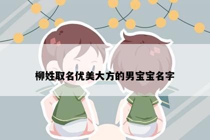 柳姓取名优美大方的男宝宝名字