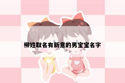 柳姓取名有新意的男宝宝名字