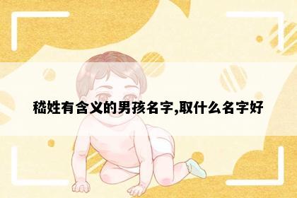 嵇姓有含义的男孩名字,取什么名字好