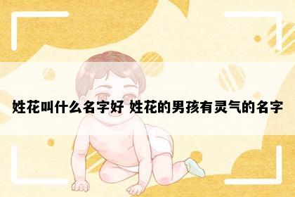 姓花叫什么名字好 姓花的男孩有灵气的名字