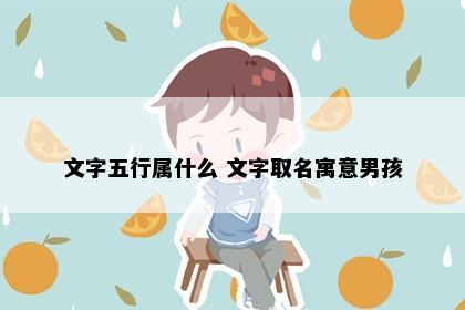 文字五行属什么 文字取名寓意男孩