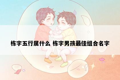 栋字五行属什么 栋字男孩最佳组合名字