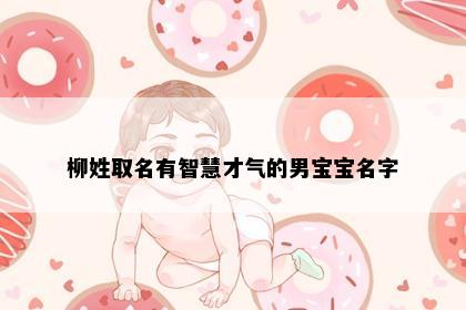 柳姓取名有智慧才气的男宝宝名字