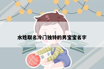 水姓取名冷门独特的男宝宝名字