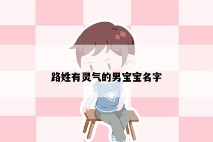 路姓有灵气的男宝宝名字